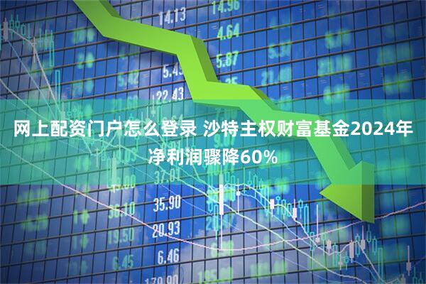 网上配资门户怎么登录 沙特主权财富基金2024年净利润骤降60%